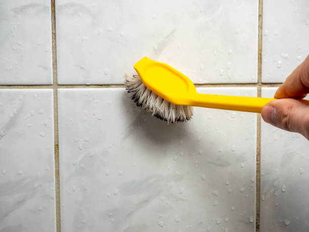 Best Bathroom Mold Remediation in Ferndale, MI