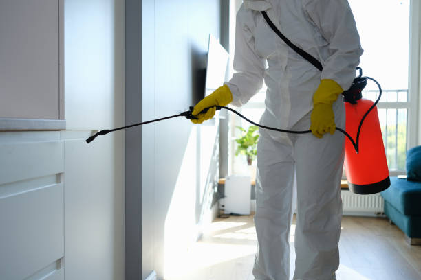 Professional Mold Remediation in Ferndale, MI