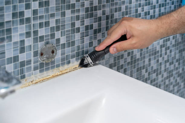 Best Post-Flood Mold Remediation in Ferndale, MI